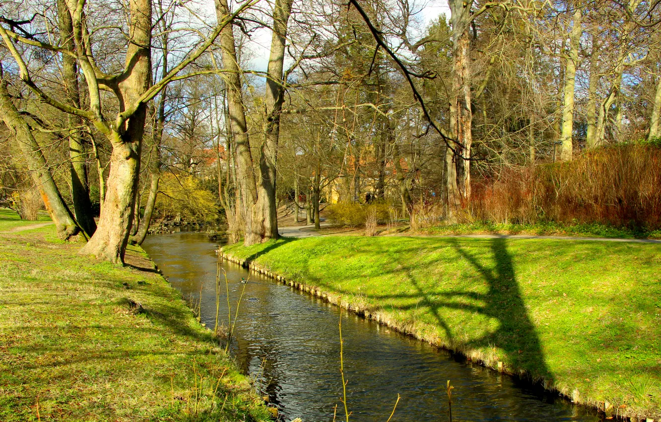 Photo wallpaper river, trees, park