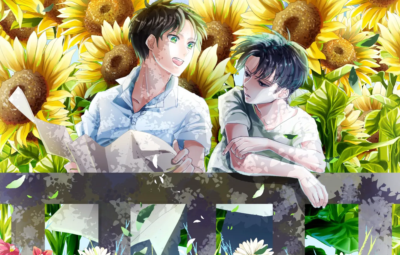 Photo wallpaper sunflowers, Attack On Titan, Shingeki No Kyojin, Eren Yeager, Attack of the titans, corporal Levi, …