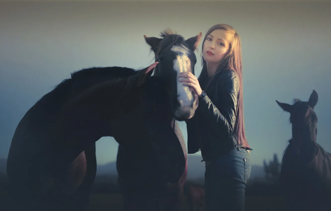 Photo wallpaper girl, background, horses