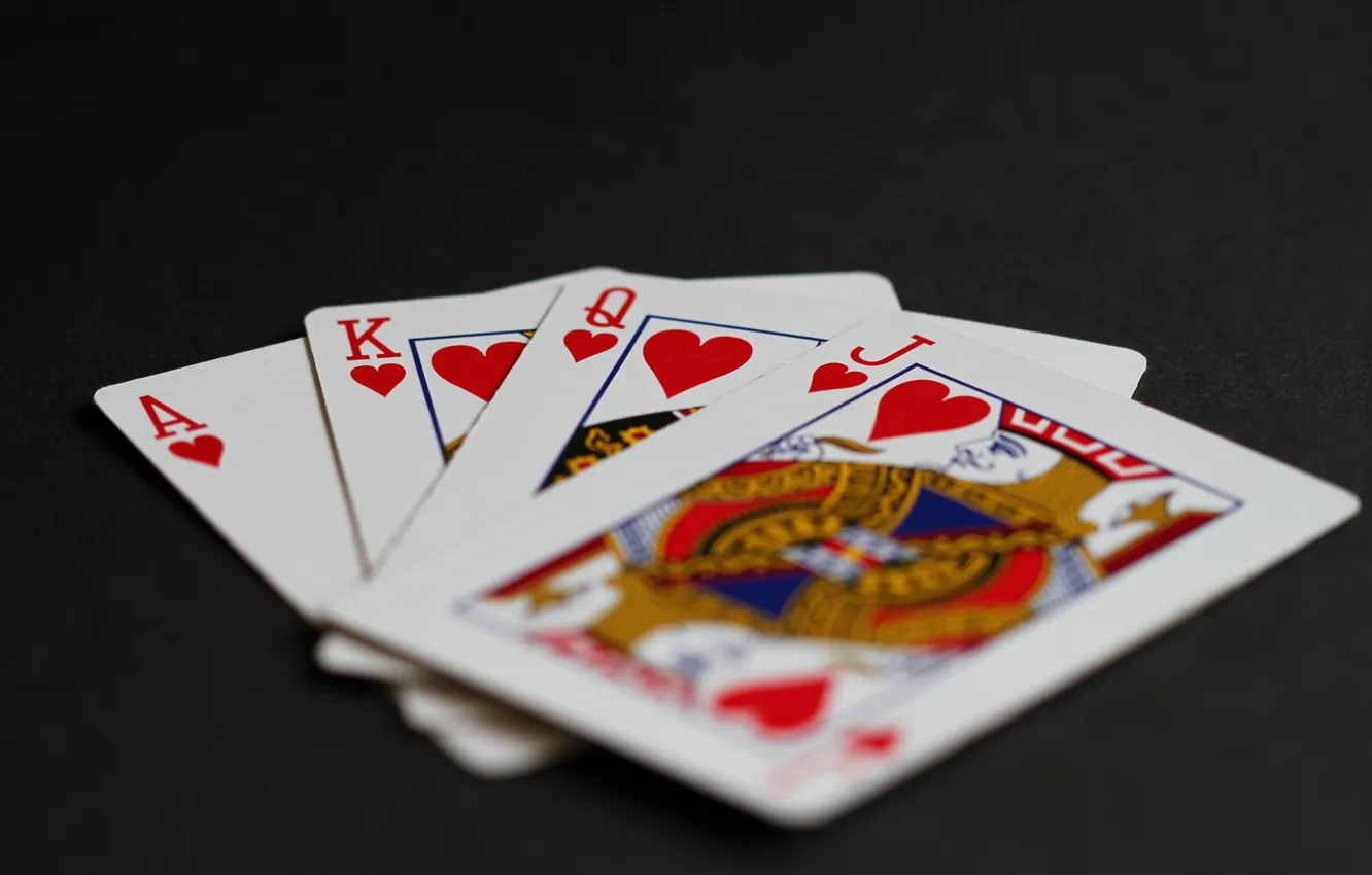 Photo wallpaper macro, background, map