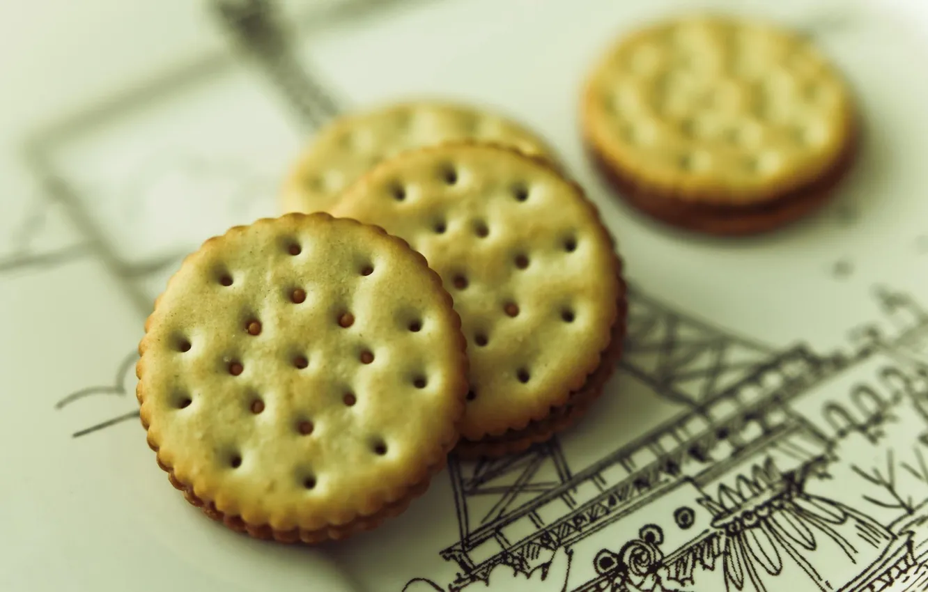 Photo wallpaper macro, paper, round, figure, cookies