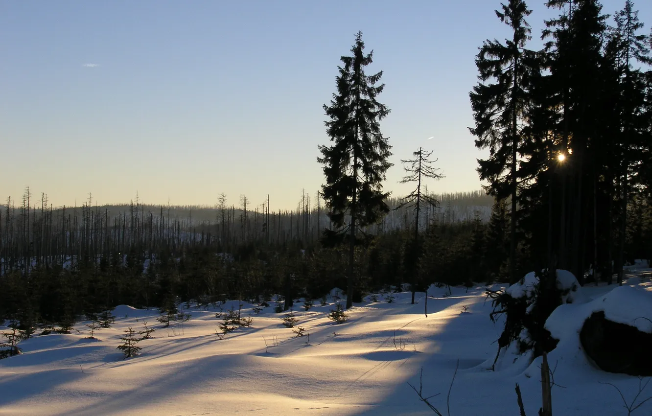 Photo wallpaper winter, forest, snow, mountains, Czech Republic, Sumava, Sumava national Park, mountain Cerná hora
