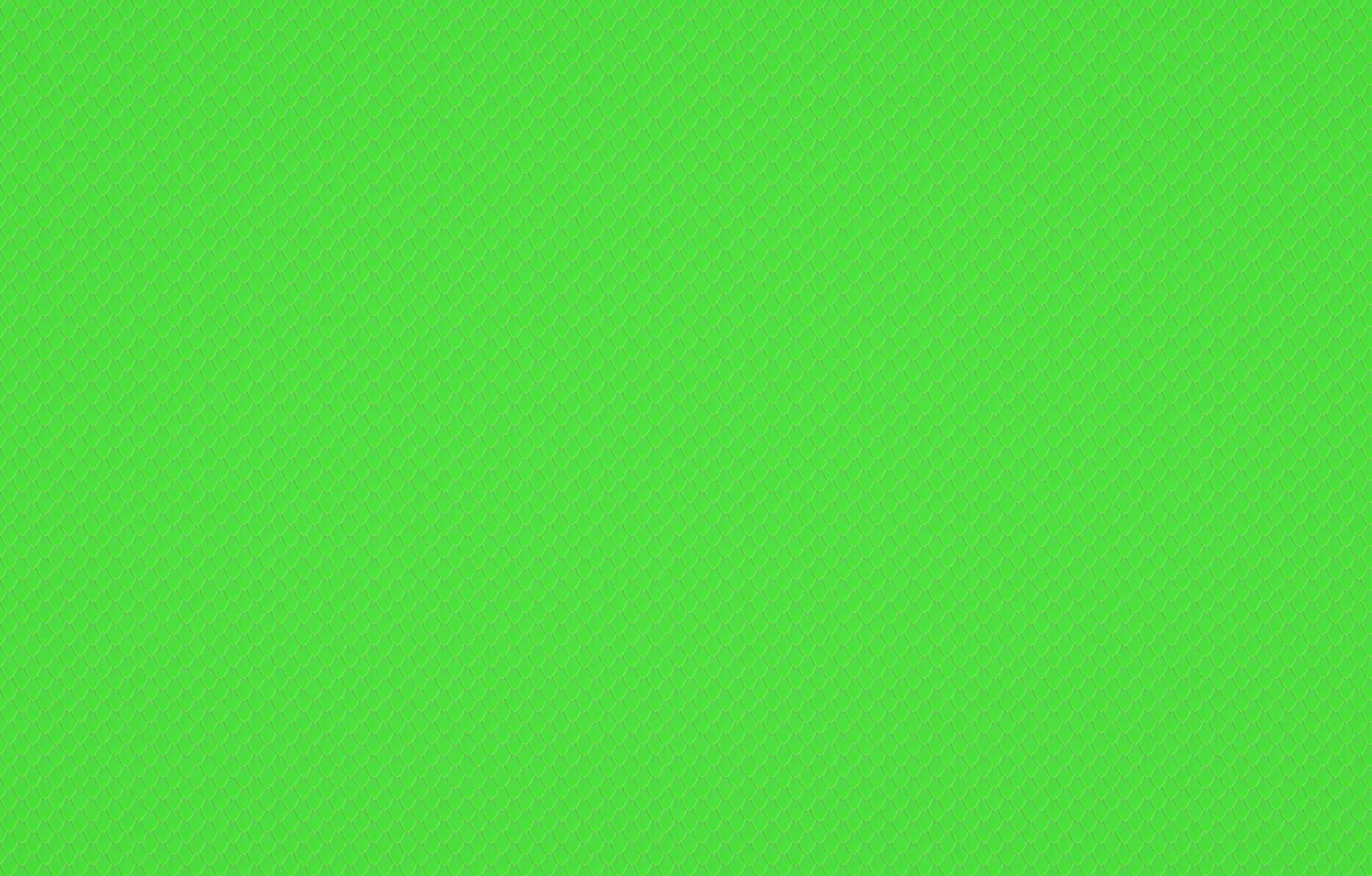 Photo wallpaper background, Wallpaper, scales, segment