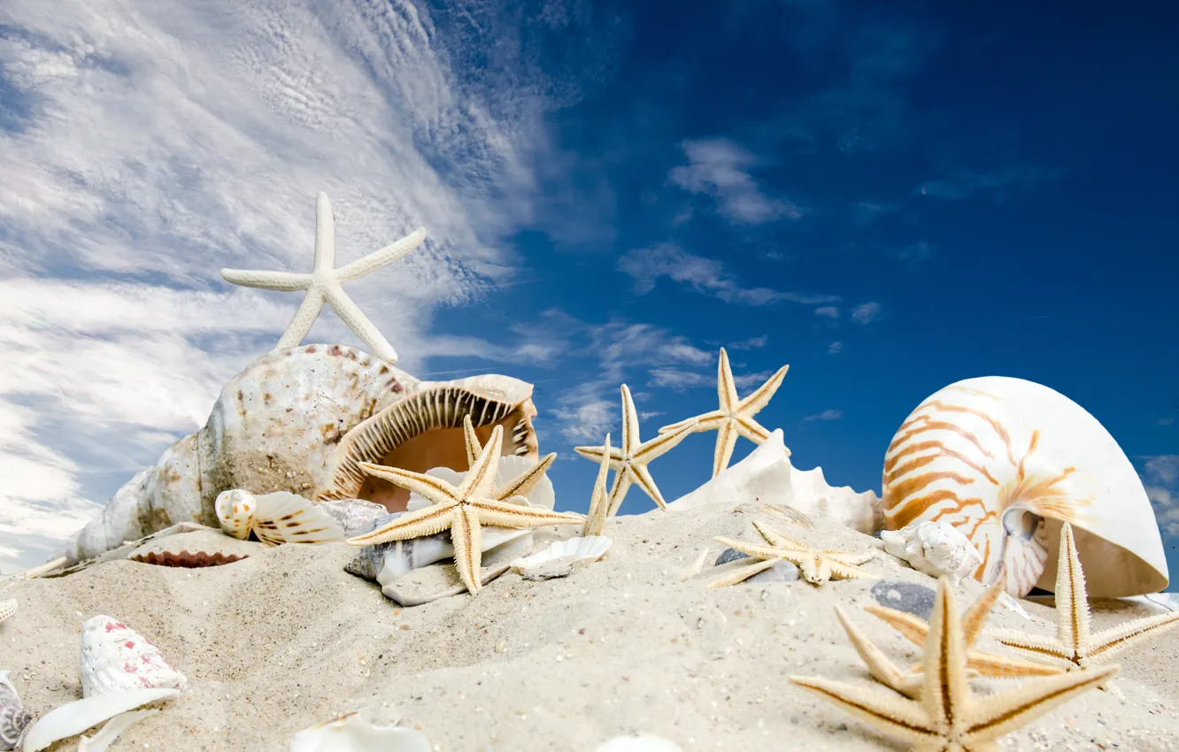 Photo wallpaper sand, sea, beach, the sun, stars, shell, summer, sunshine