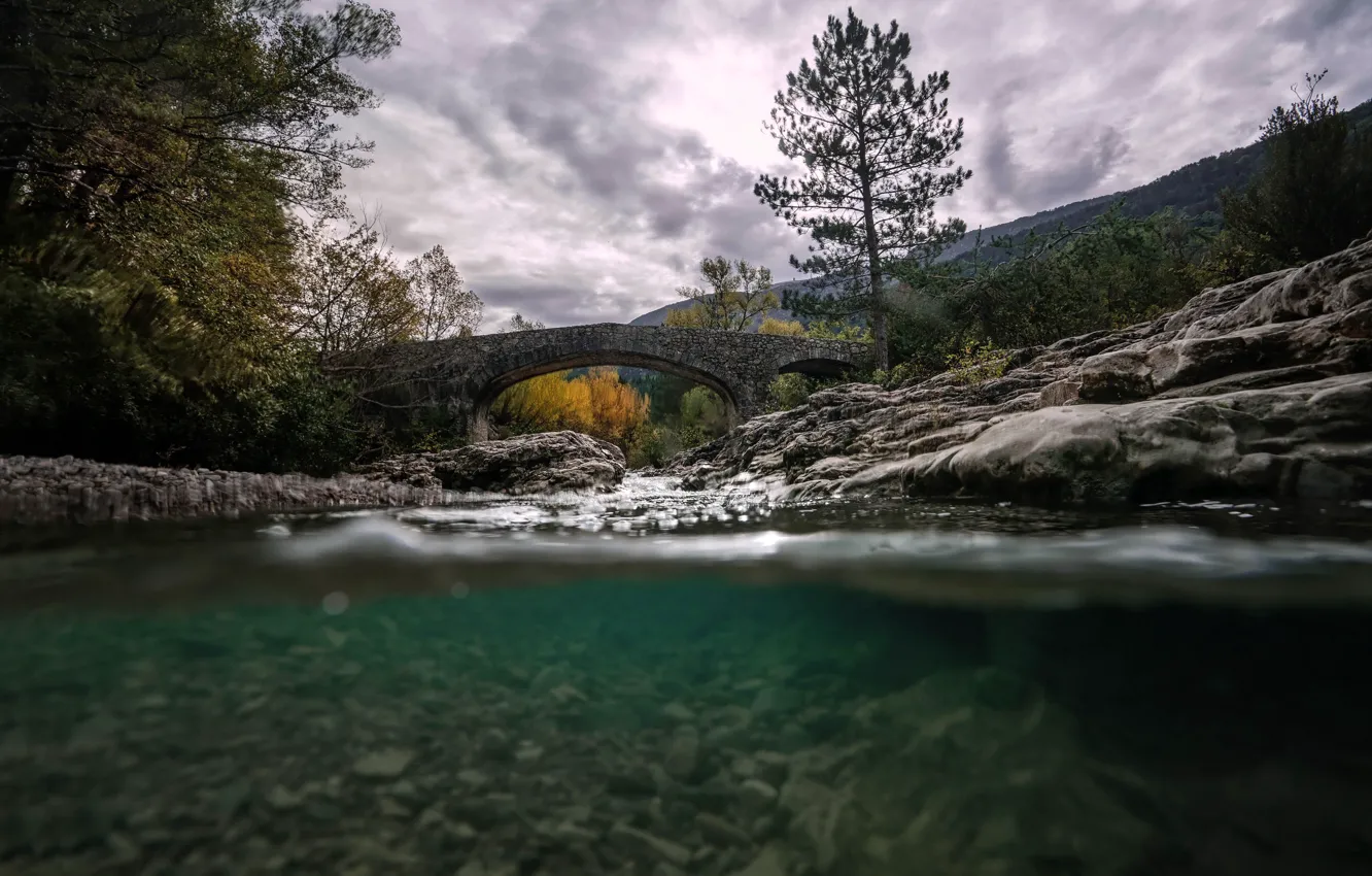 Photo wallpaper bridge, nature, river