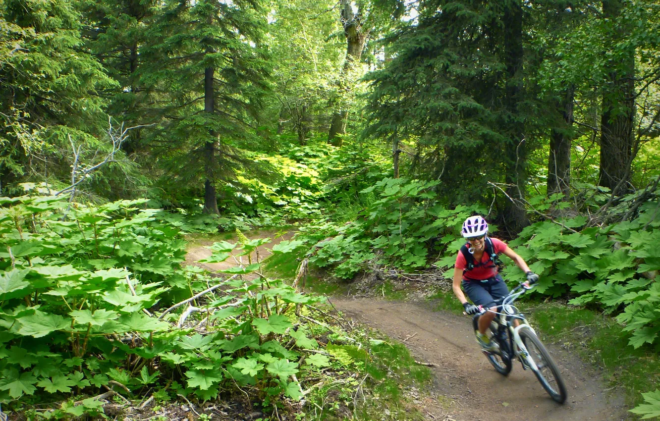 Photo wallpaper girl, nature, sport, mountain bike, cyclist