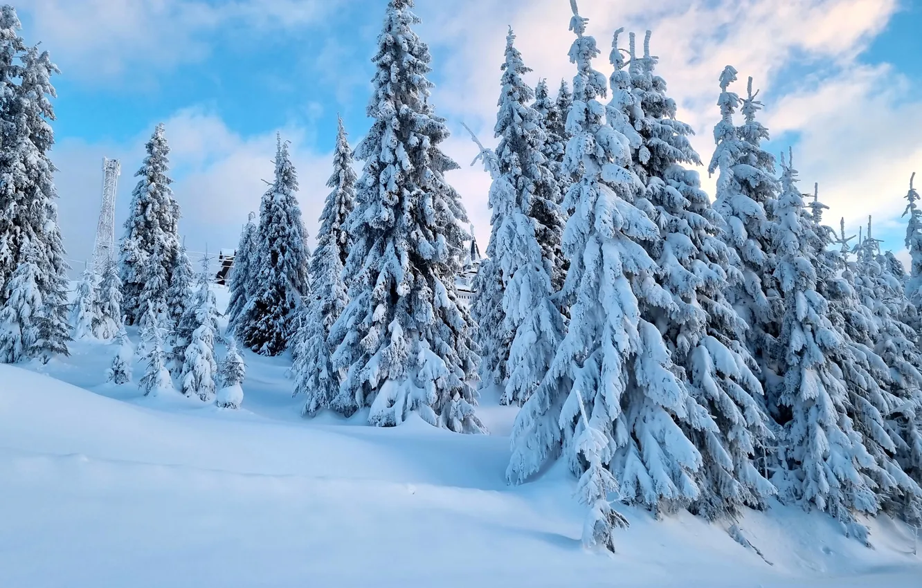 Photo wallpaper winter, frost, the sky, clouds, snow, nature, blue, ate