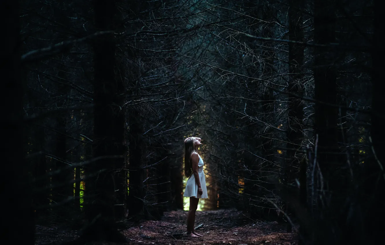 Photo wallpaper forest, girl, dress, alone