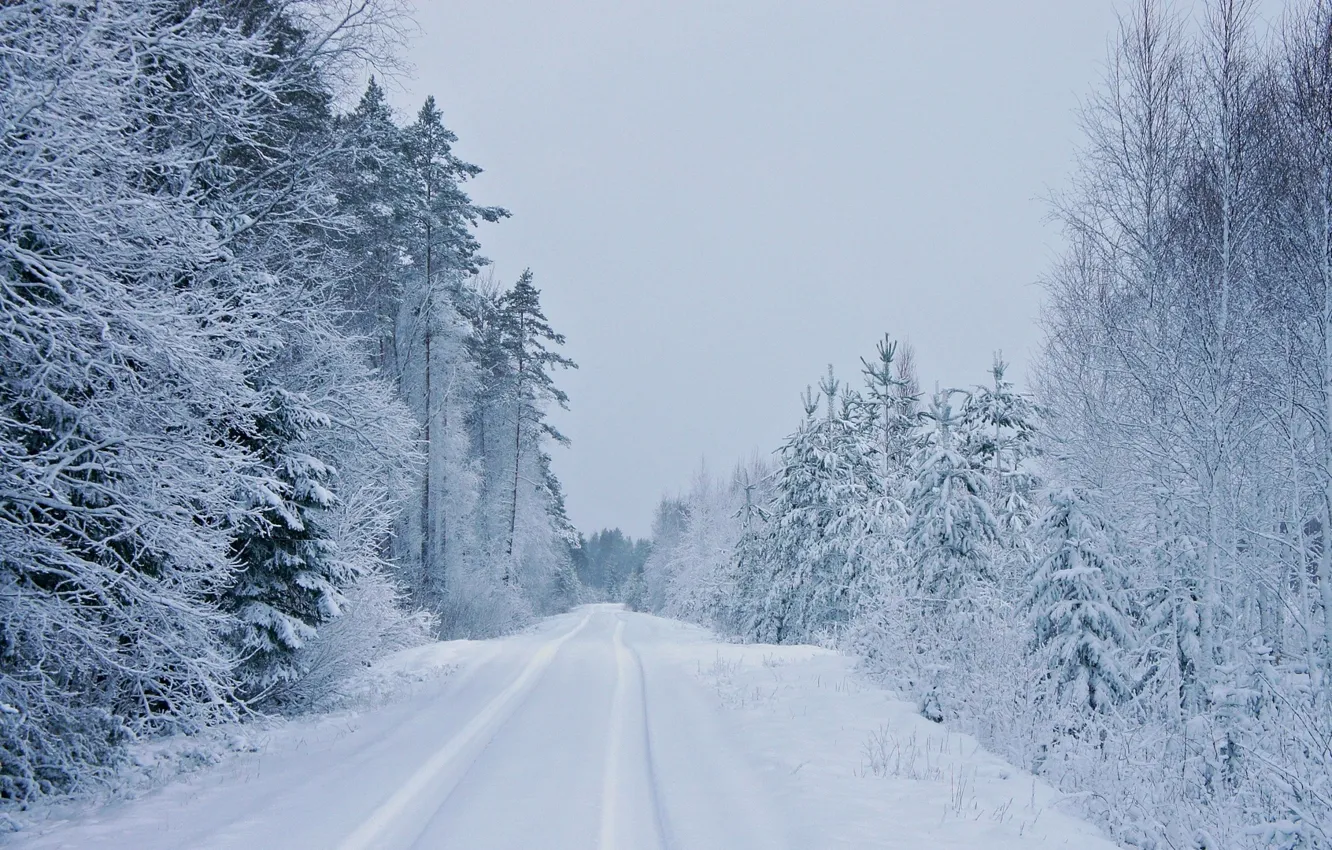 Photo wallpaper winter, road, trees