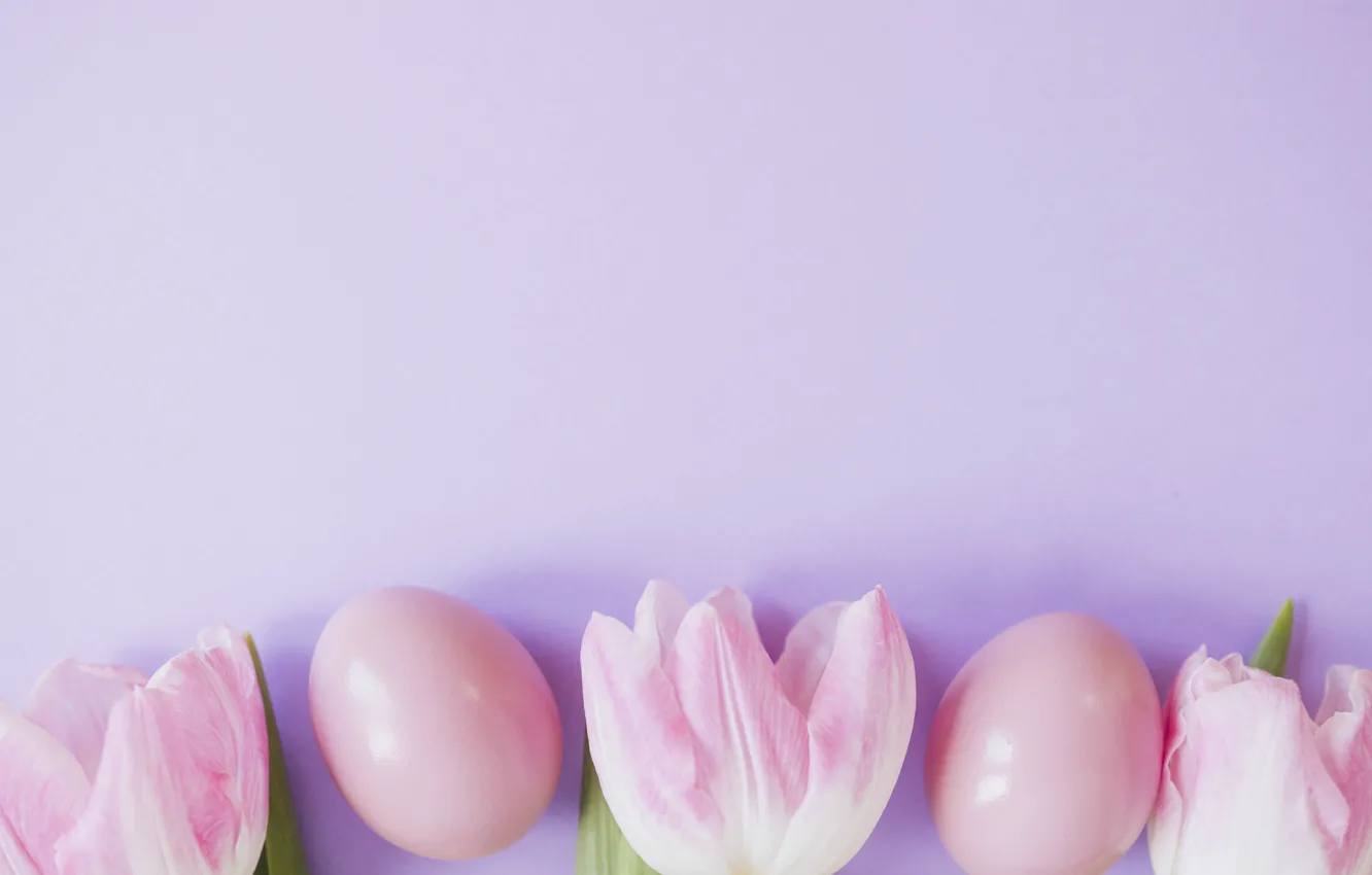 Photo wallpaper background, pink, spring, Easter, Eggs, tulips