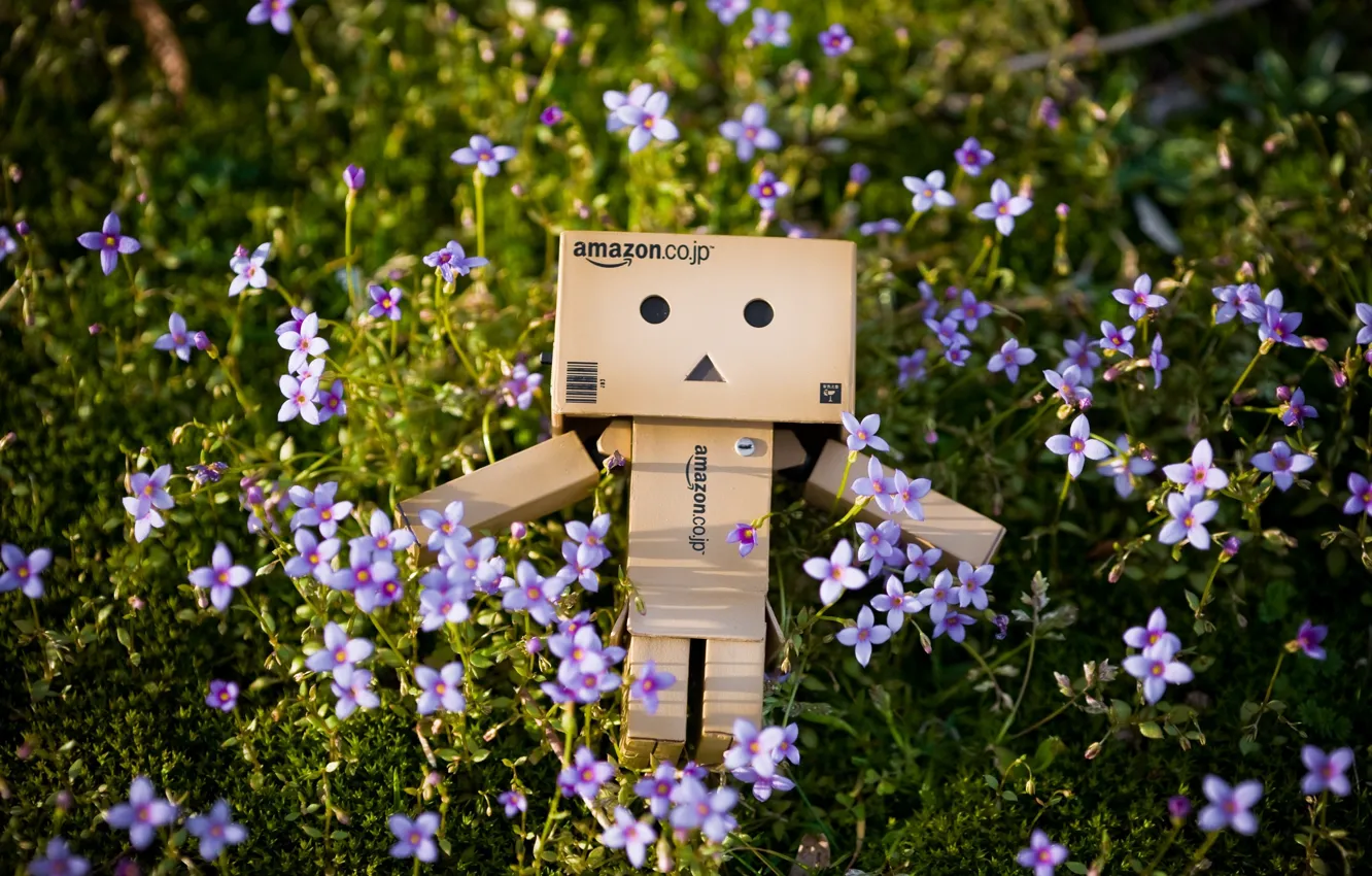 Photo wallpaper grass, flowers, nature, box, danbo