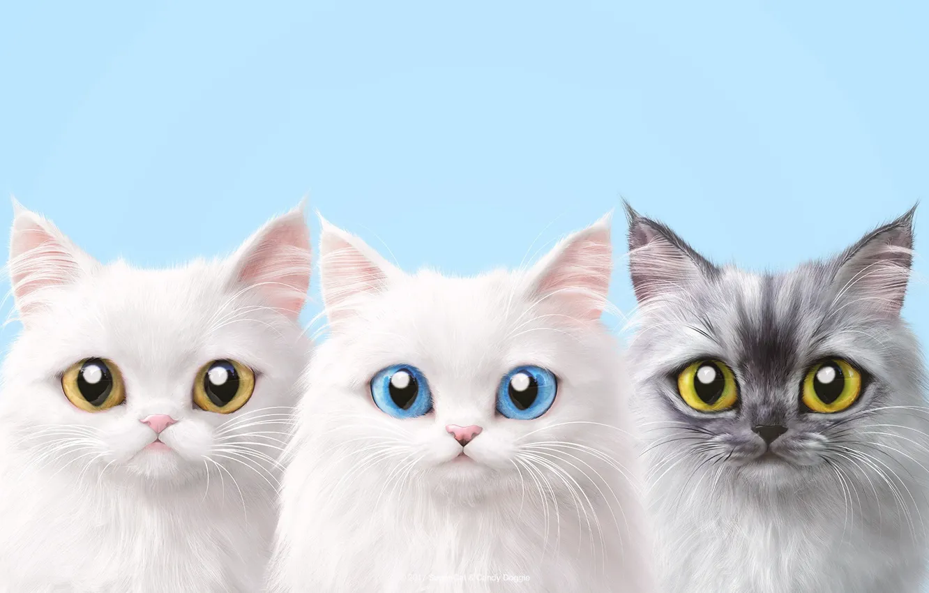 Photo wallpaper background, cats, trio