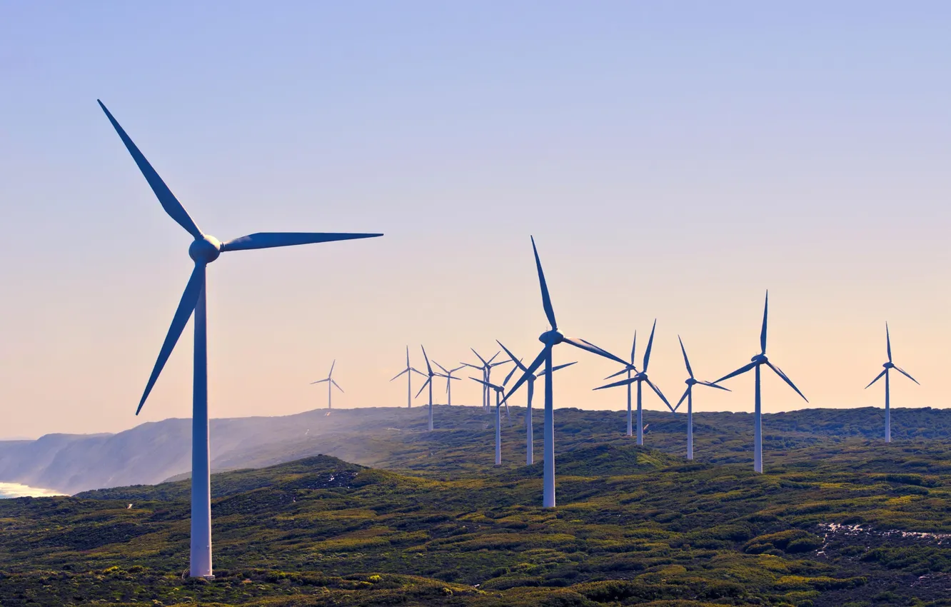 Photo wallpaper field, the sky, landscape, sunset, plant, horizon, sky, field