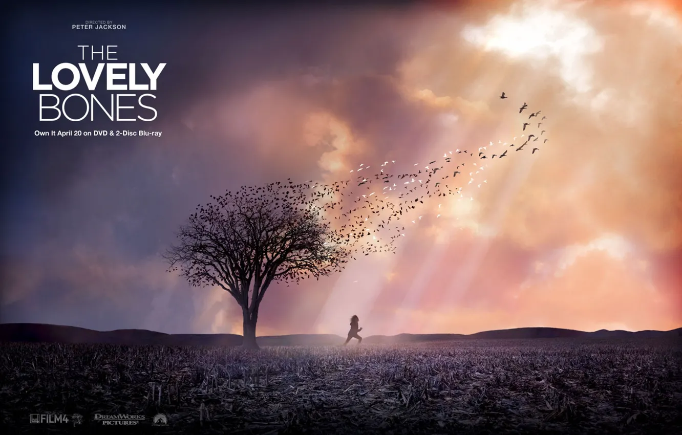 Photo wallpaper nature, tale, mystic