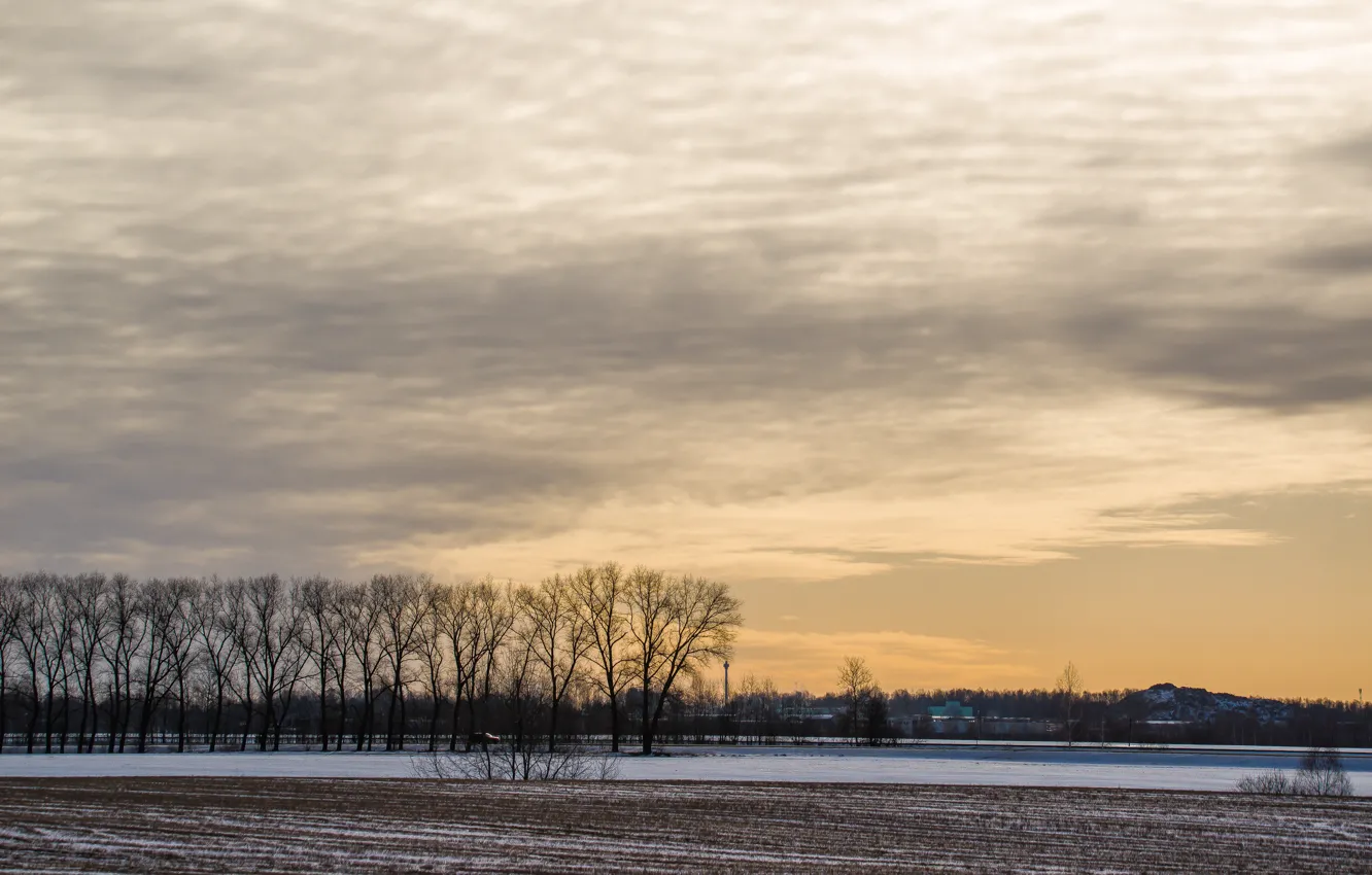 Photo wallpaper field, the sky, clouds, spring