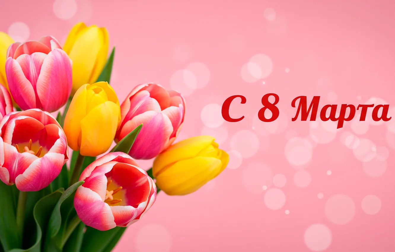 Photo wallpaper holiday, bouquet, tulips, March 8, tulips, postcard, holiday, bouquet