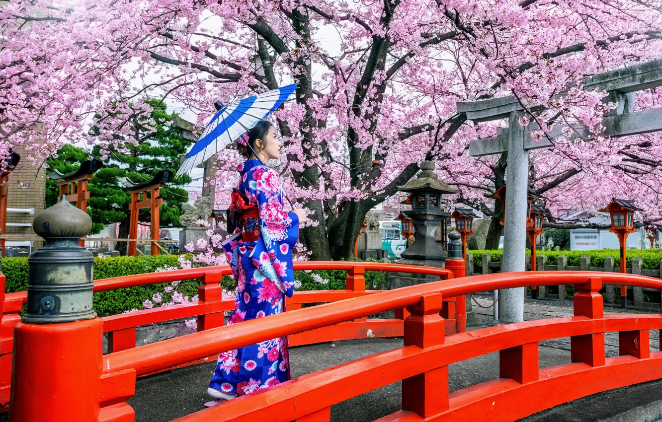 Photo wallpaper bridge, cherry, Japanese, spring, umbrella, Japan, Sakura, Japan