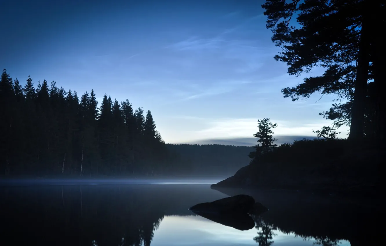 Photo wallpaper forest, trees, lake, Day Or Night