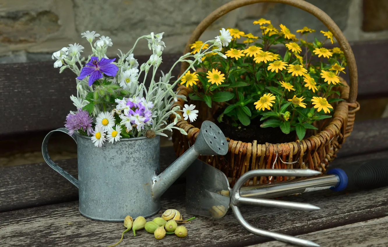 Photo wallpaper flowers, bouquet, lake, basket