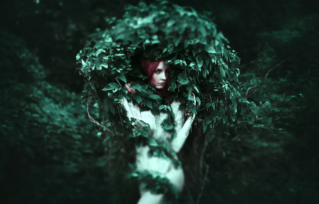Photo wallpaper look, leaves, girl, red, ivy