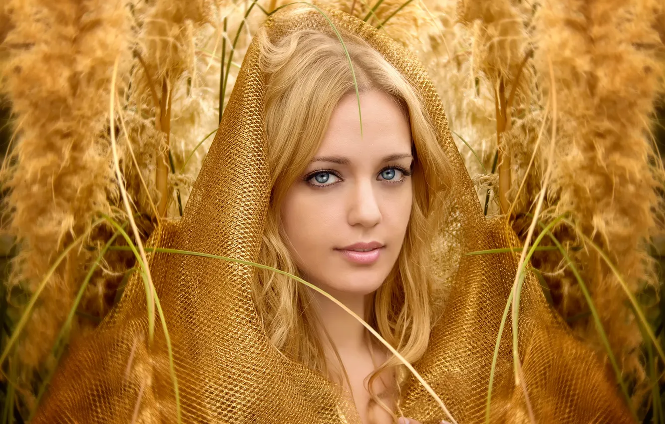 Photo wallpaper look, portrait, golden