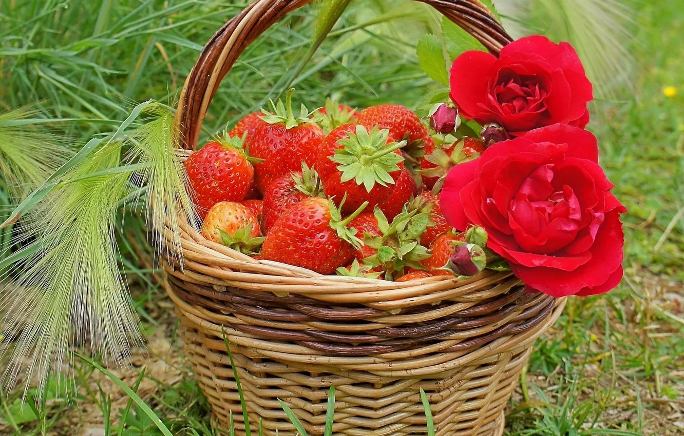 Photo wallpaper berries, roses, strawberry, basket