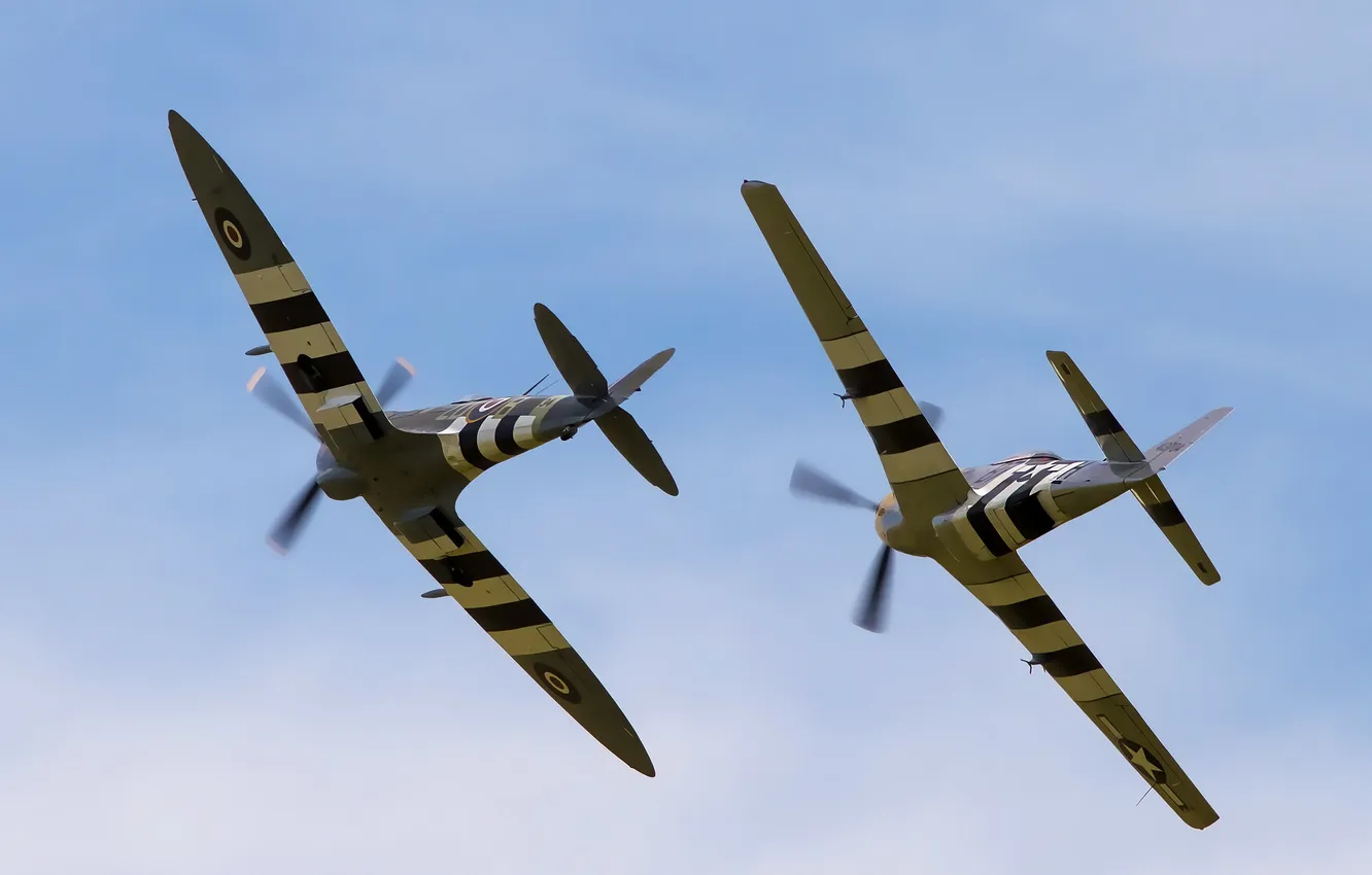 Photo wallpaper flight, fighter, P-51D Mustang, Supermarine Spitfire