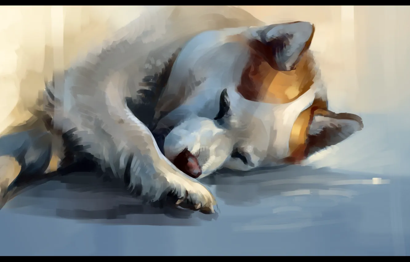 Photo wallpaper dog, sleeping, by SalamanDra-S