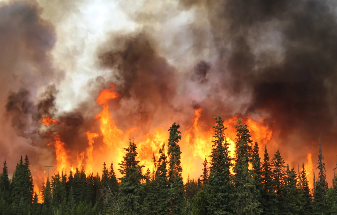 Photo wallpaper fire, flame, Alaska, summer, hot, nature, burning, disaster