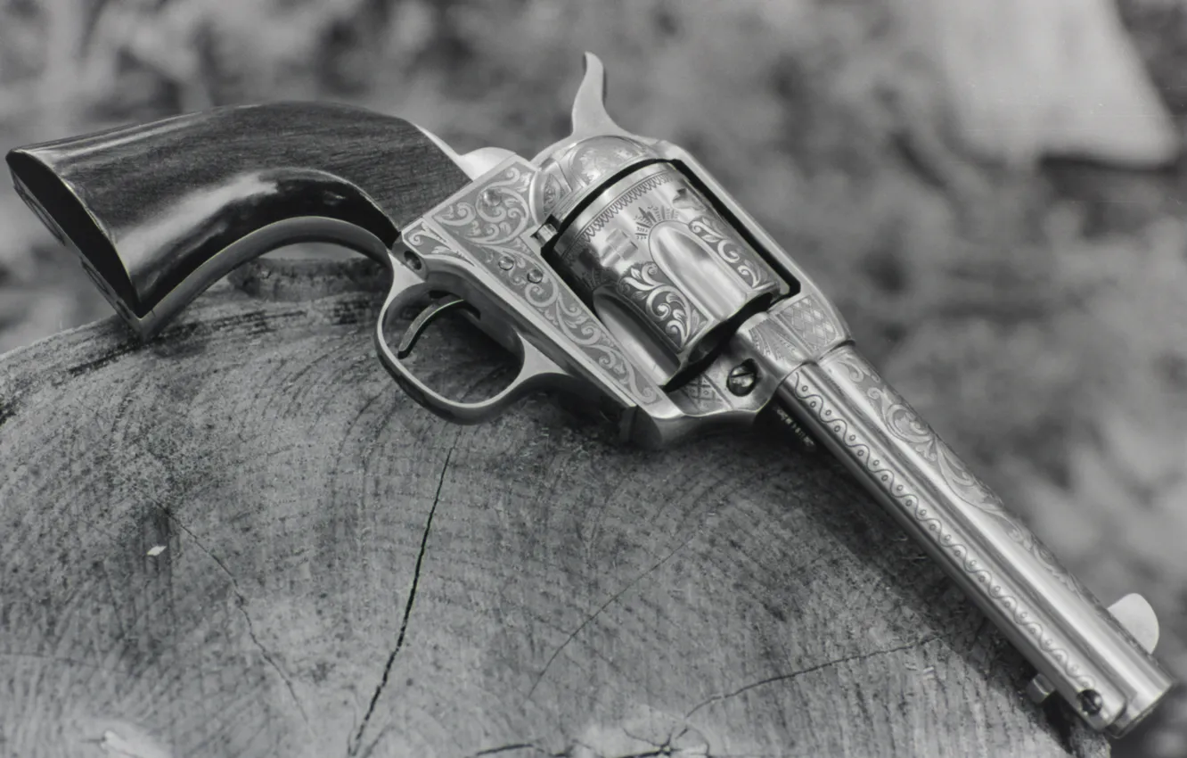 Photo wallpaper weapons, trunk, revolver, the handle