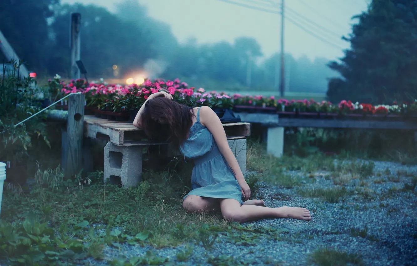 Photo wallpaper girl, mood, the evening