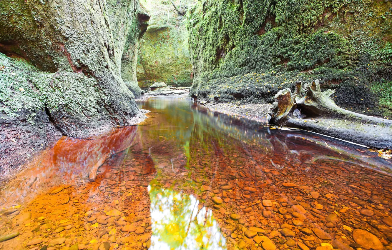 Photo wallpaper trees, mountains, stream, shore, moss, the bottom, gorge