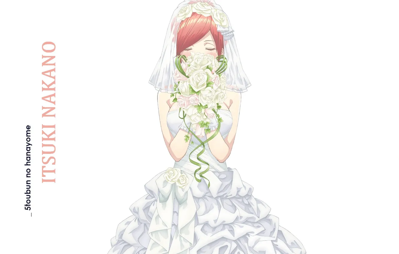 Photo wallpaper white background, red, wedding dress, closed eyes, the bride's bouquet, a wreath of roses, Toubun …