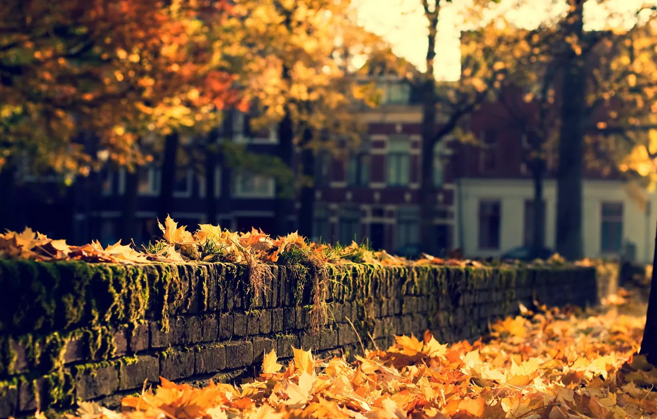 Photo wallpaper autumn, the city, street