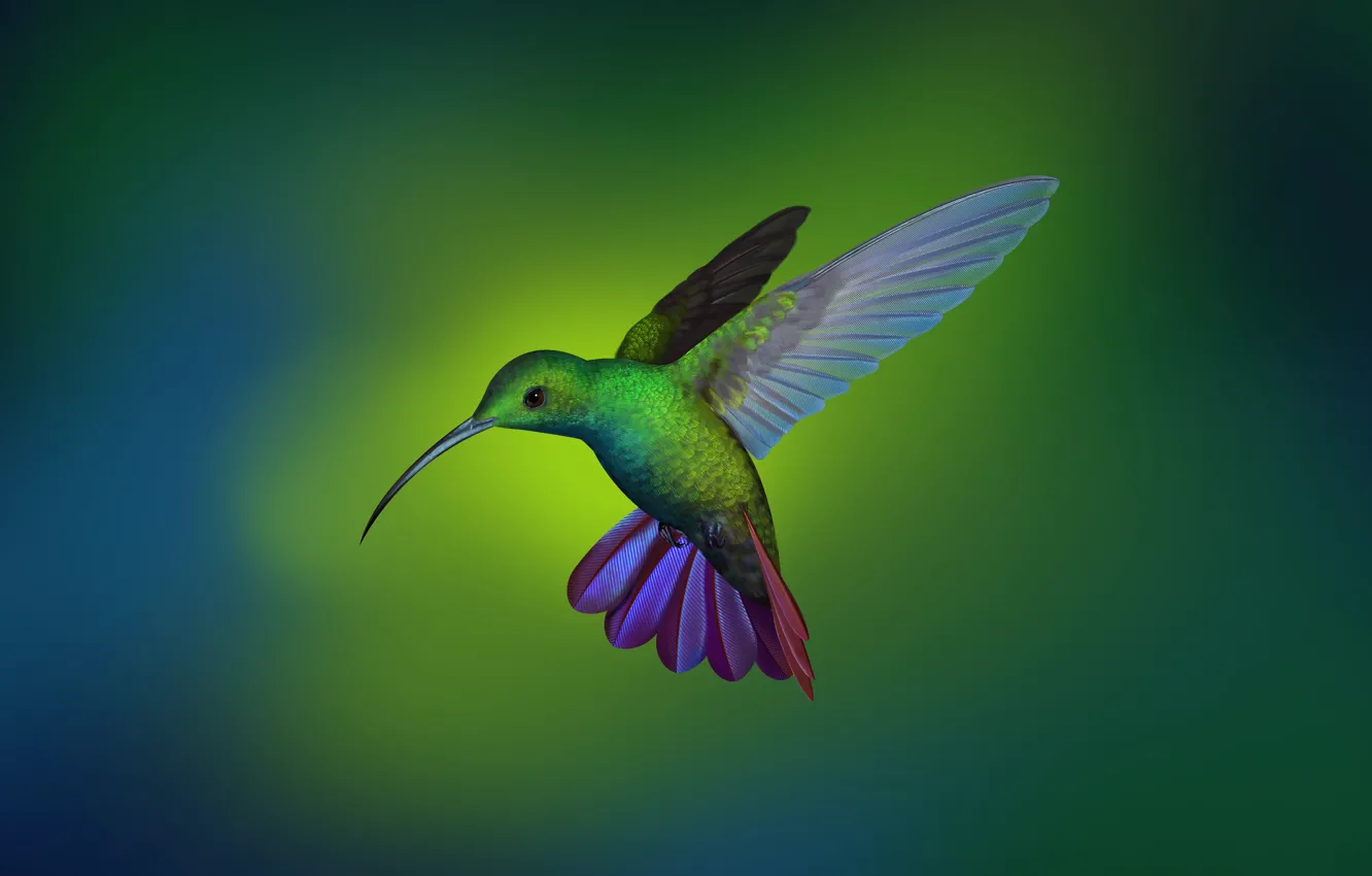 Photo wallpaper flight, bird, wings, kalibri