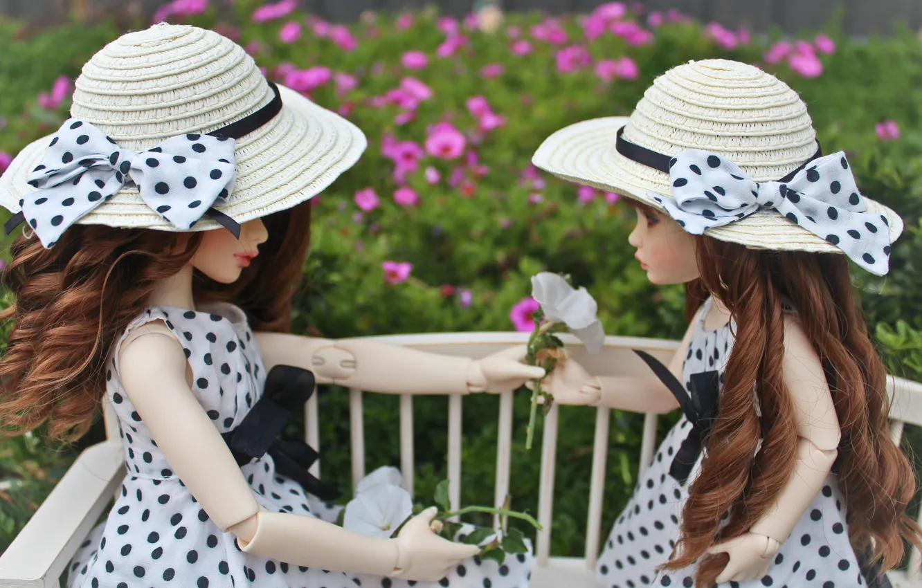 Photo wallpaper flowers, doll, polka dot, hat, bow, doll, BJD, evolusi