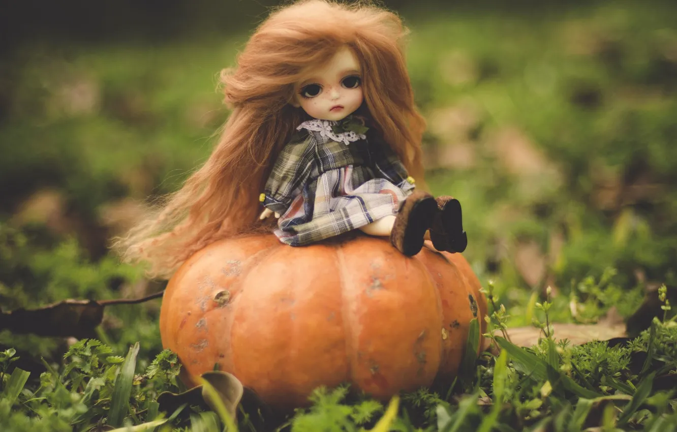 Photo wallpaper nature, toy, doll, pumpkin, red, sitting, long hair