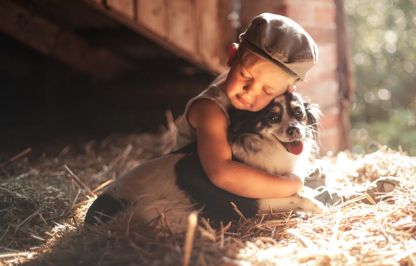 Photo wallpaper dog, boy, friendship, hay, cap, friends