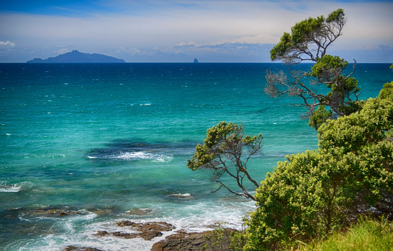 Photo wallpaper sea, summer, clouds, trees, blue
