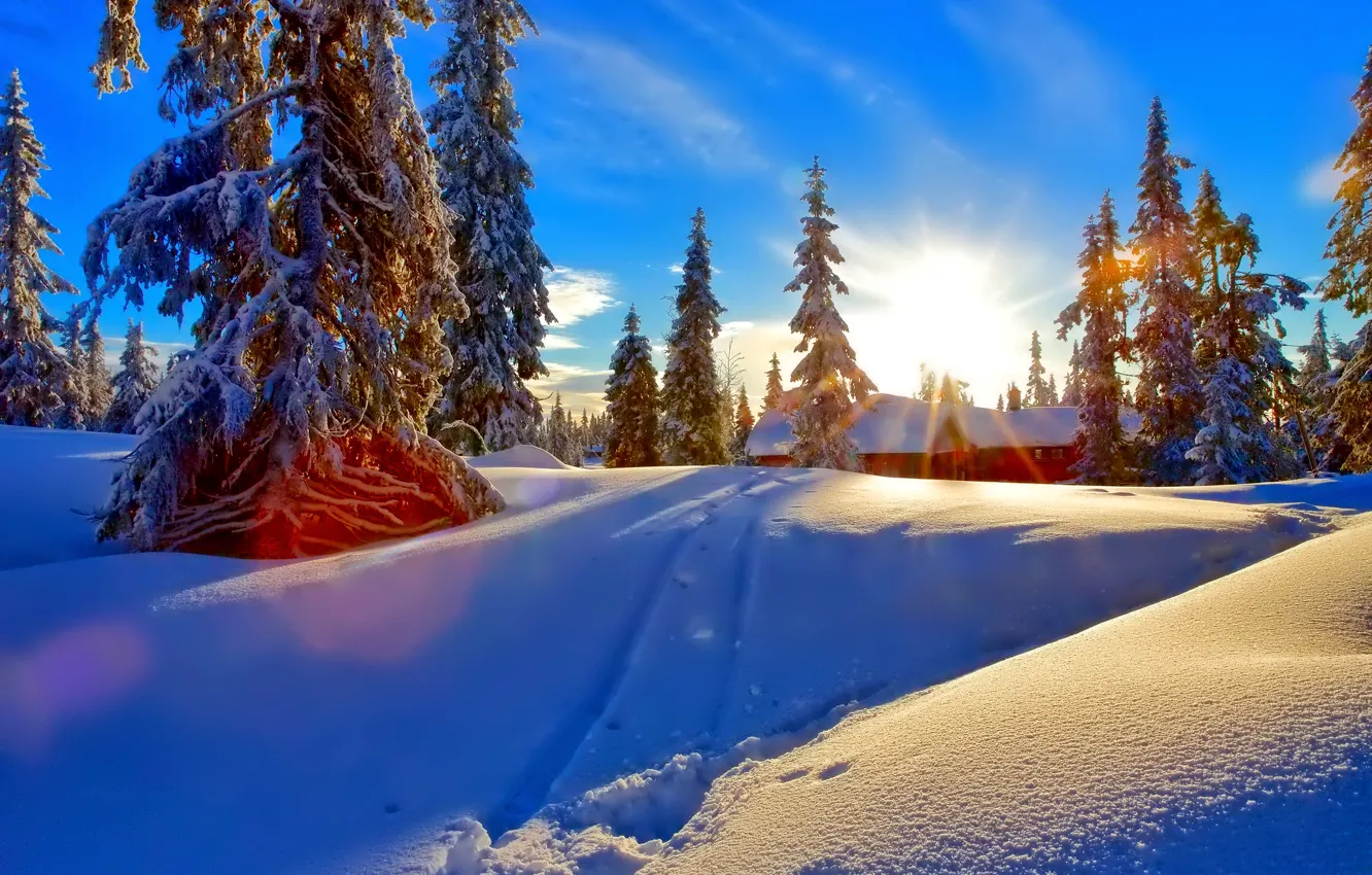 Photo wallpaper winter, forest, the sky, clouds, snow, sunset, house, spruce