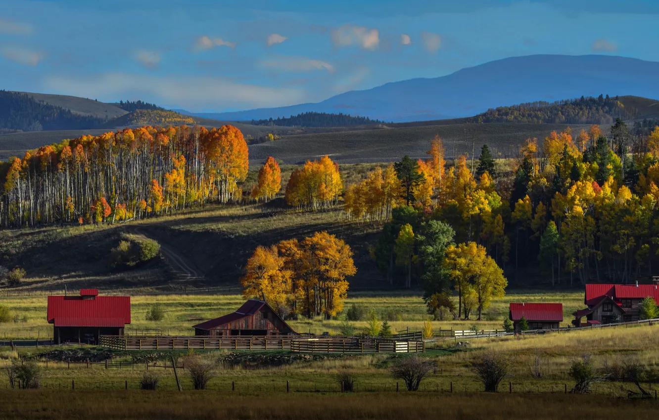 Photo wallpaper field, autumn, clouds, trees, mountains, hills, village, the evening
