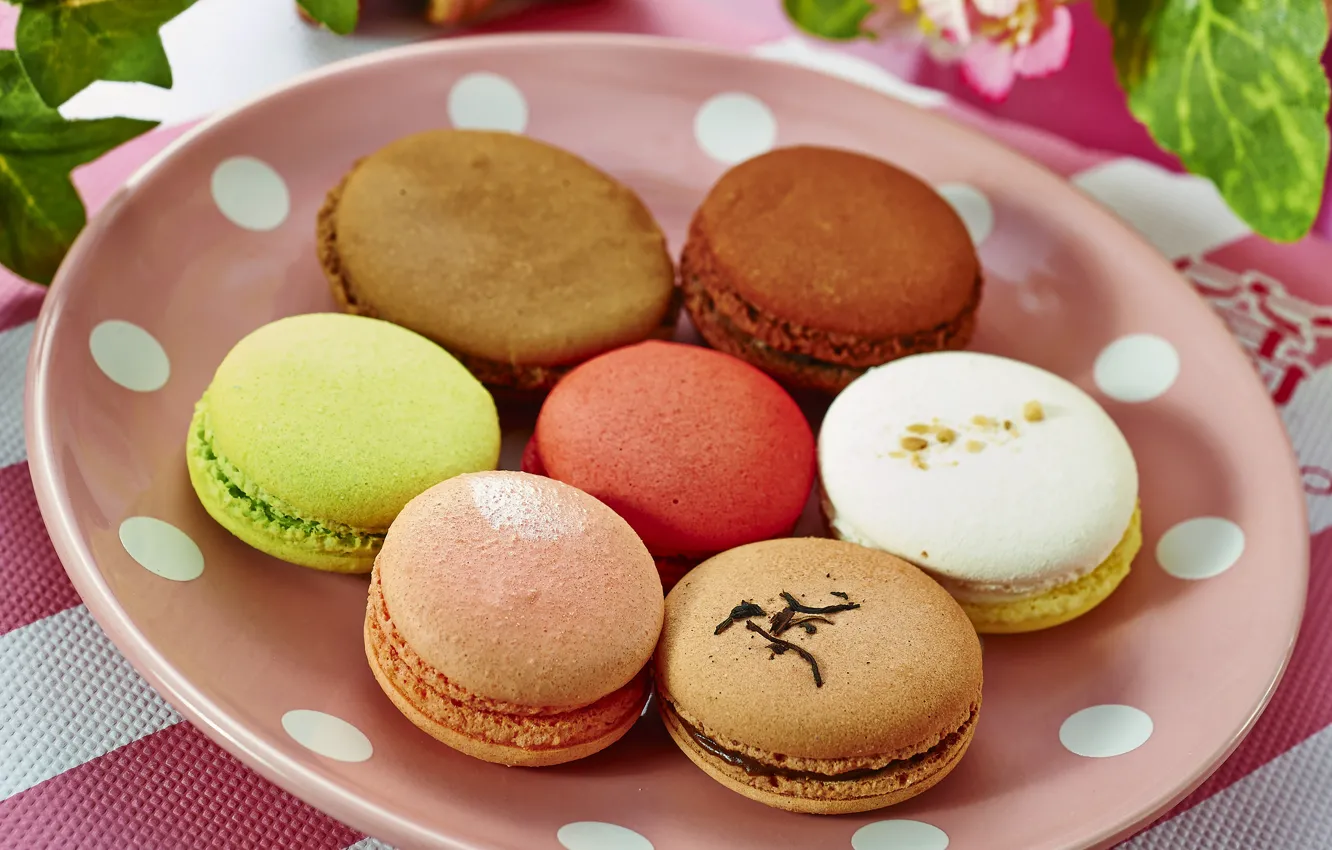 Photo wallpaper cake, dessert, macaroon