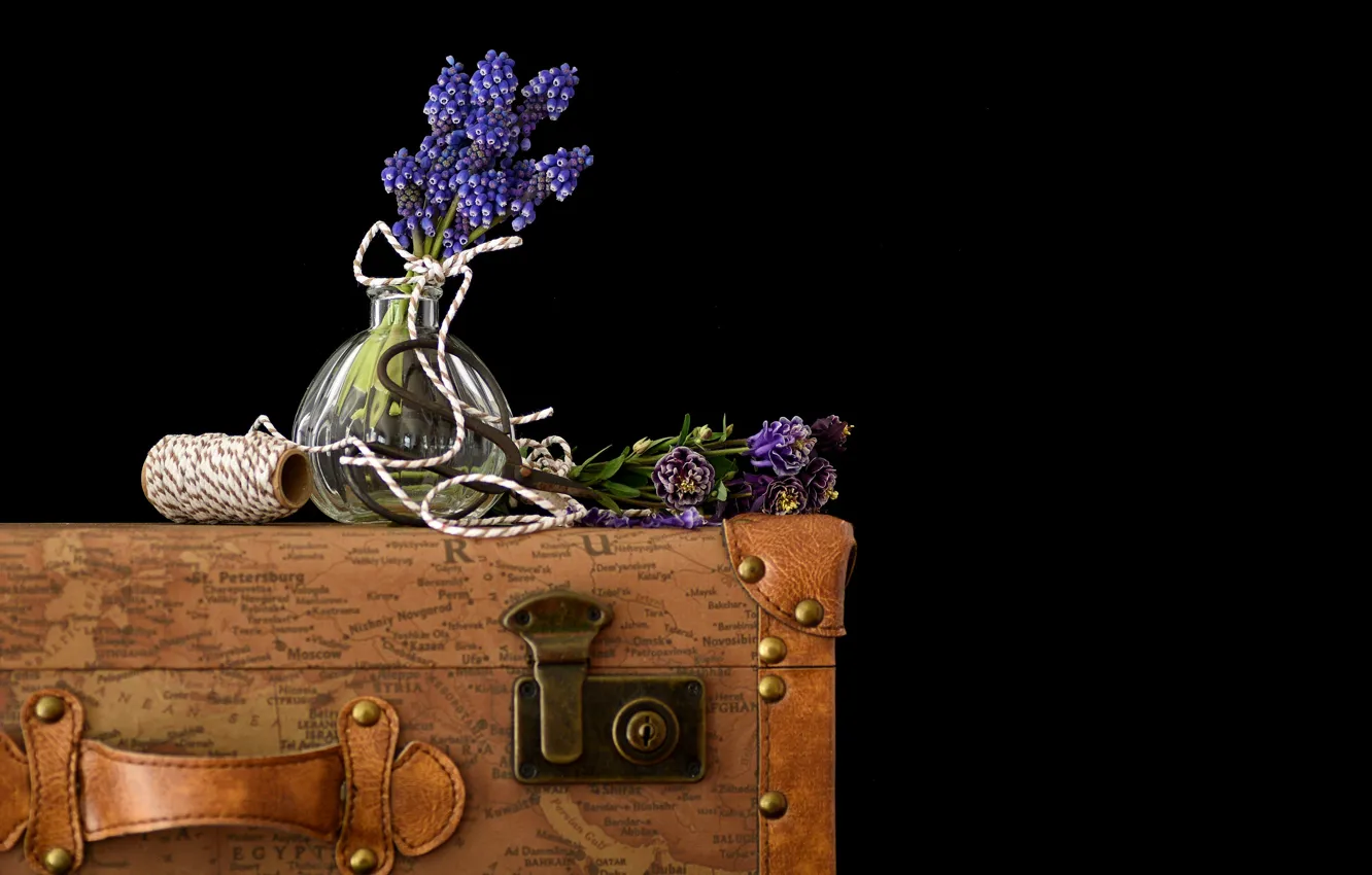 Photo wallpaper flowers, retro, bouquet, rope, purple, vase, suitcase, black background