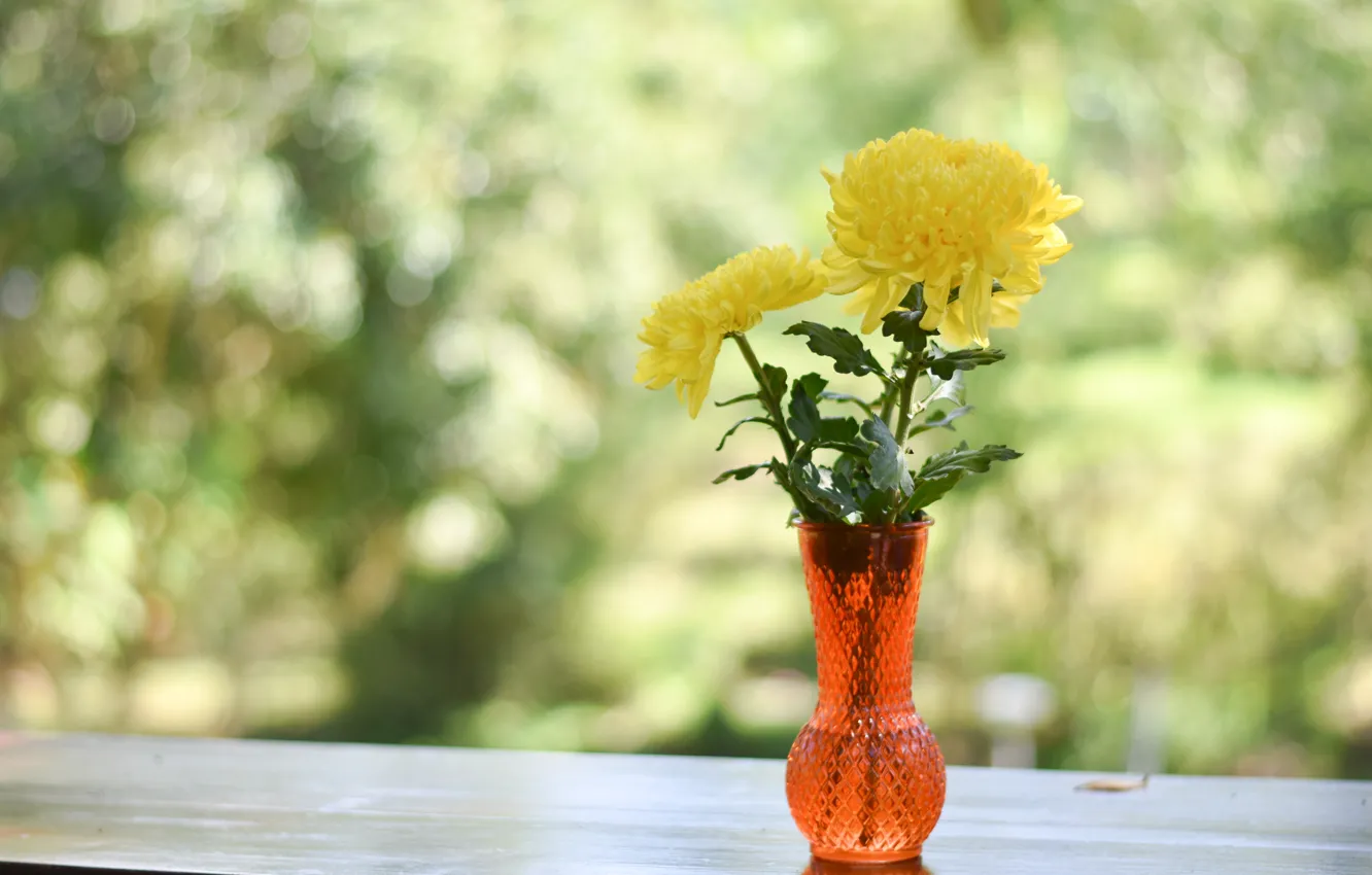 Photo wallpaper flowers, vase, yellow chrysanthemum
