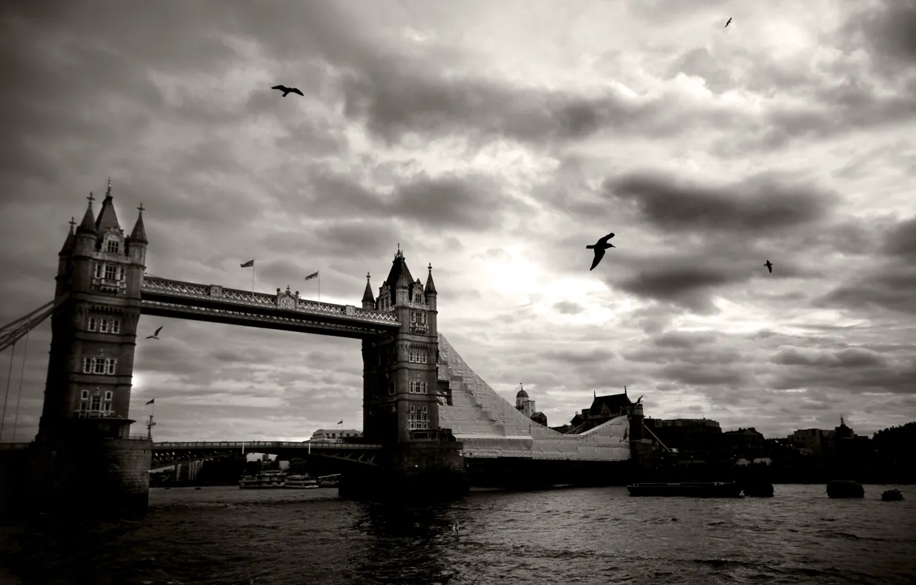 Photo wallpaper the sky, clouds, birds, bridge, the city, river, black and white, London