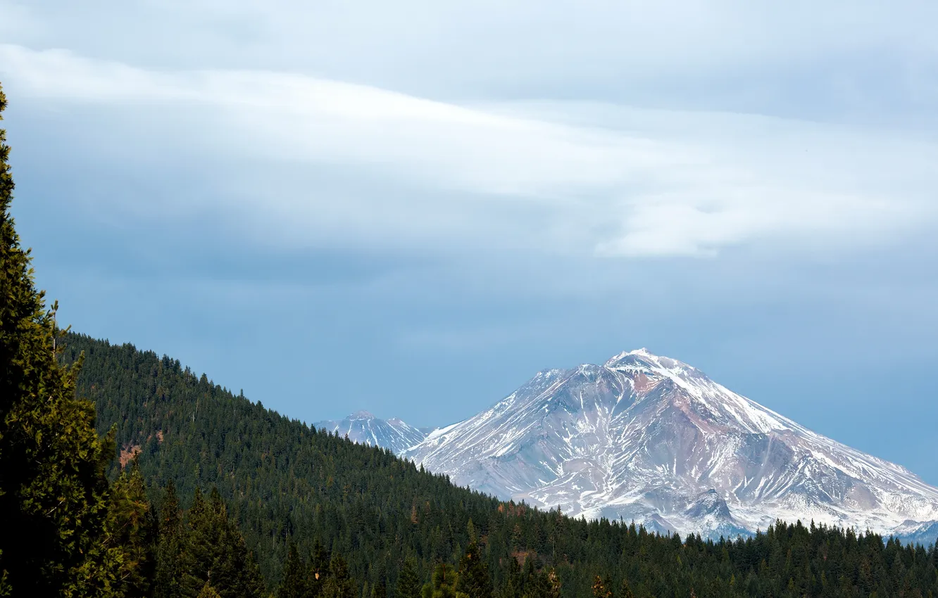 Photo wallpaper the sky, clouds, trees, CA, USA, The cascade mountains