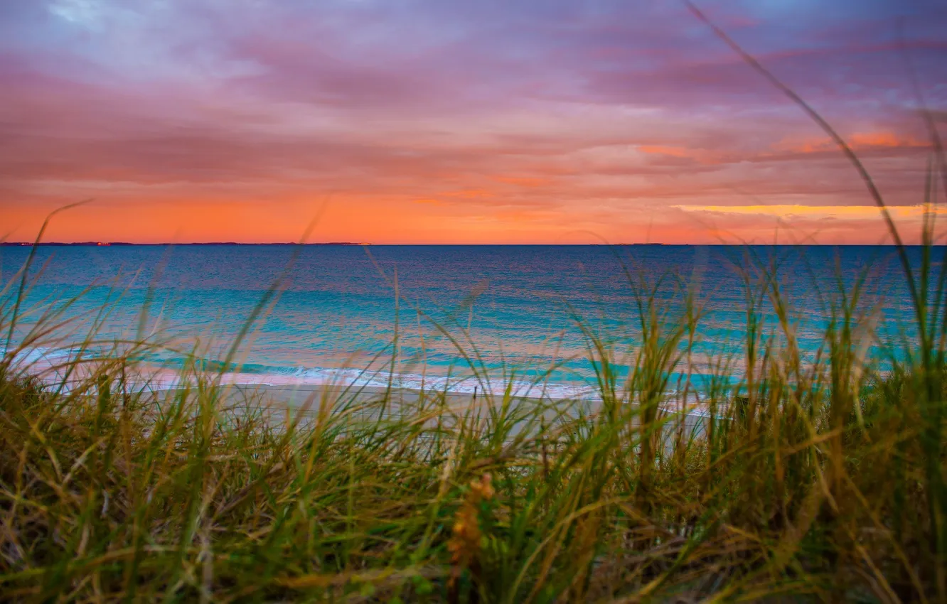 Photo wallpaper sea, the sky, grass, clouds, shore