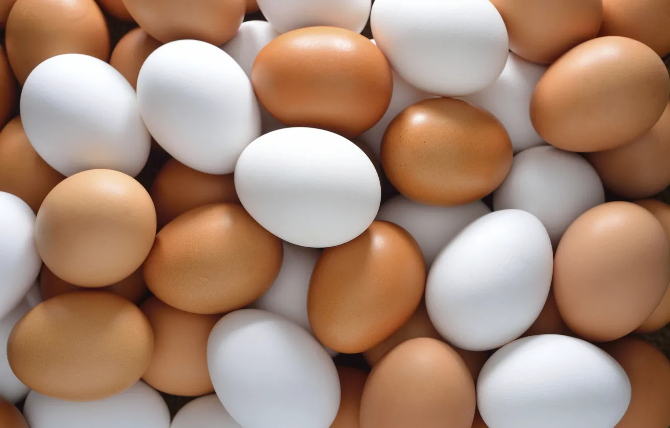 Photo wallpaper colors, eggs, chicken