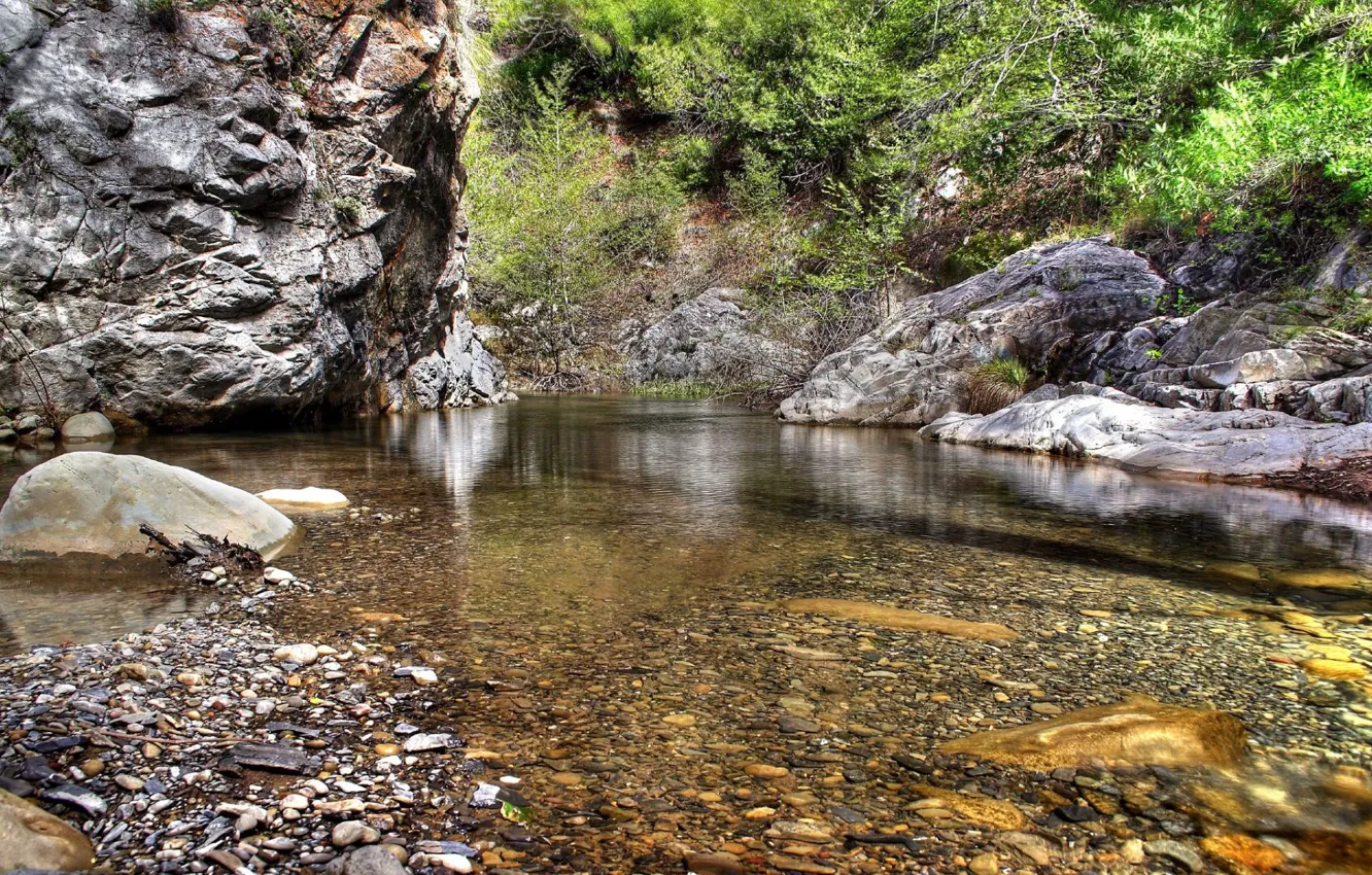 Photo wallpaper Water, Nature, Trees, Leaves, Stones