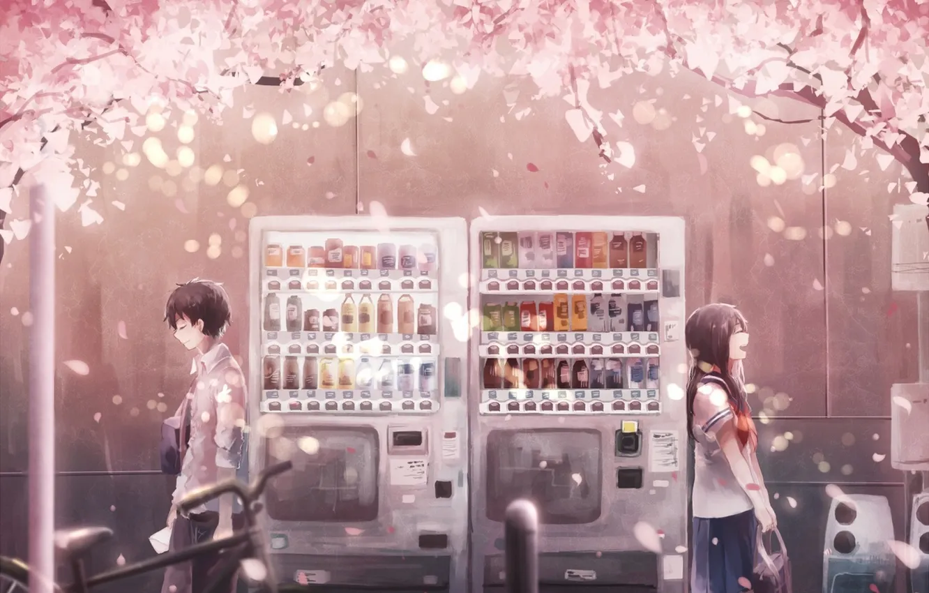 Photo wallpaper girl, bike, anime, petals, Sakura, art, machine, guy